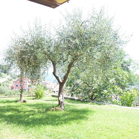 La Casa Con Vista Di Emma Διαμέρισμα Vezzano Ligure Εξωτερικό φωτογραφία