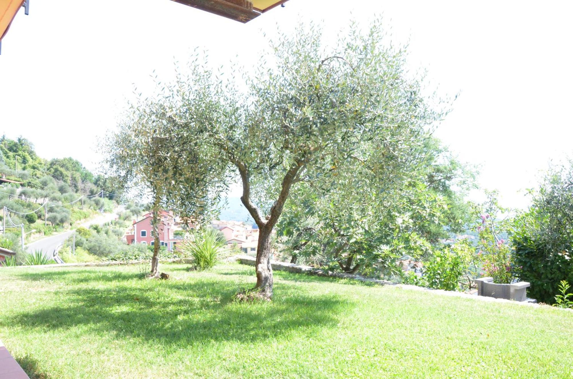 La Casa Con Vista Di Emma Διαμέρισμα Vezzano Ligure Εξωτερικό φωτογραφία